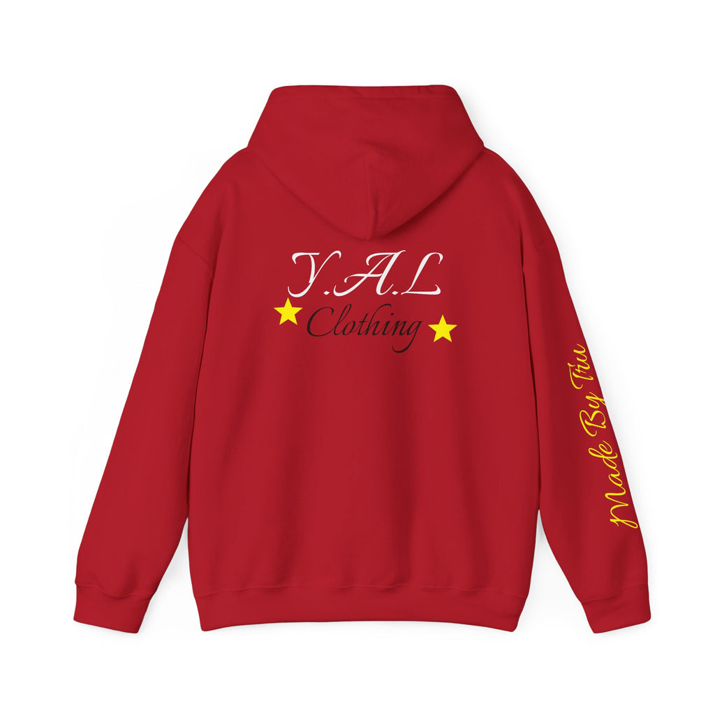 Music Lovers Ambitious Vibes Hoodie | Motivational Music Sweatshirt