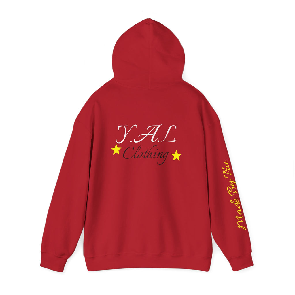 Music Lovers Ambitious Vibes Hoodie | Motivational Music Sweatshirt