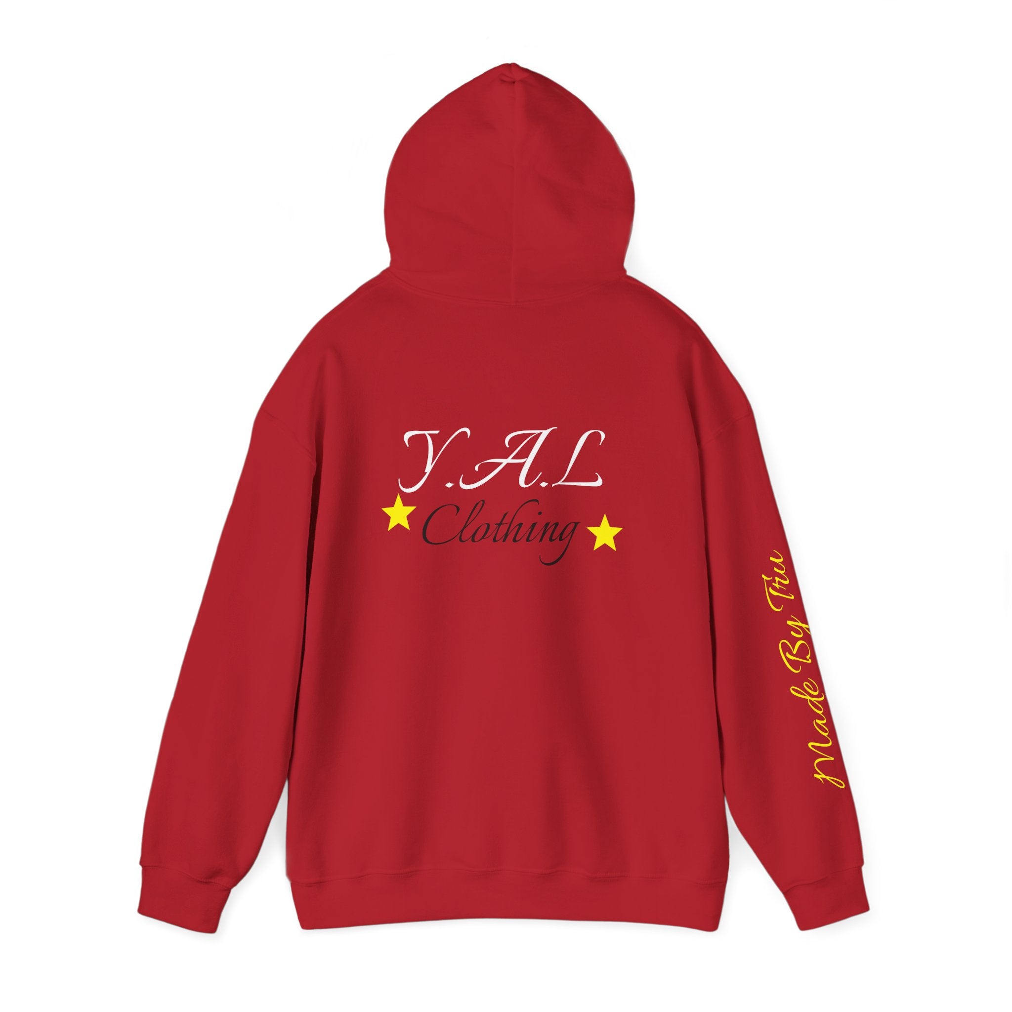 Music Lovers Ambitious Vibes Hoodie | Motivational Music Sweatshirt