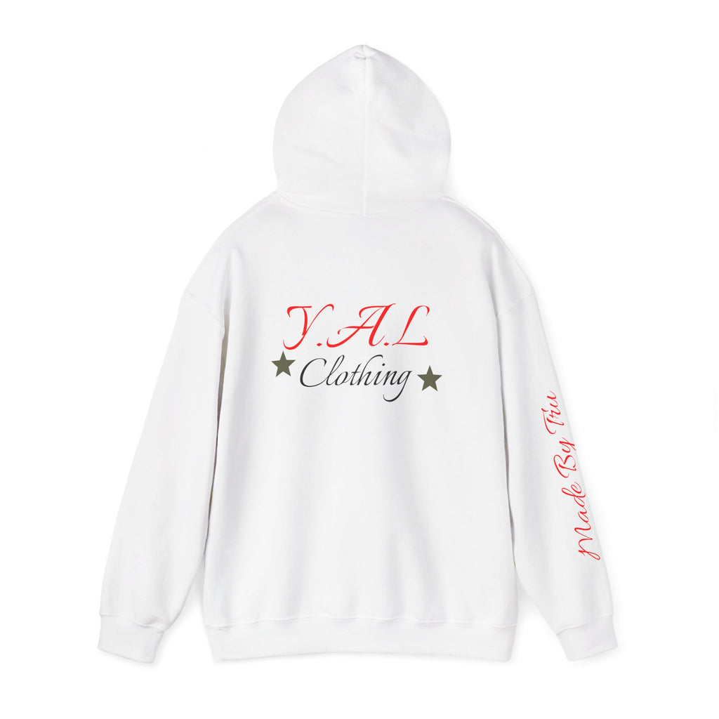 Music Lovers Ambitious Vibes Hoodie | Motivational Music Sweatshirt