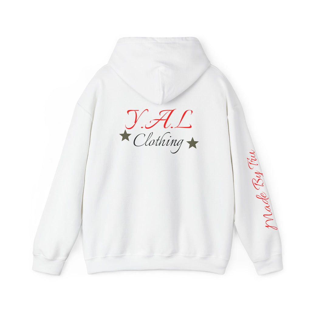 Music Lovers Ambitious Vibes Hoodie | Motivational Music Sweatshirt