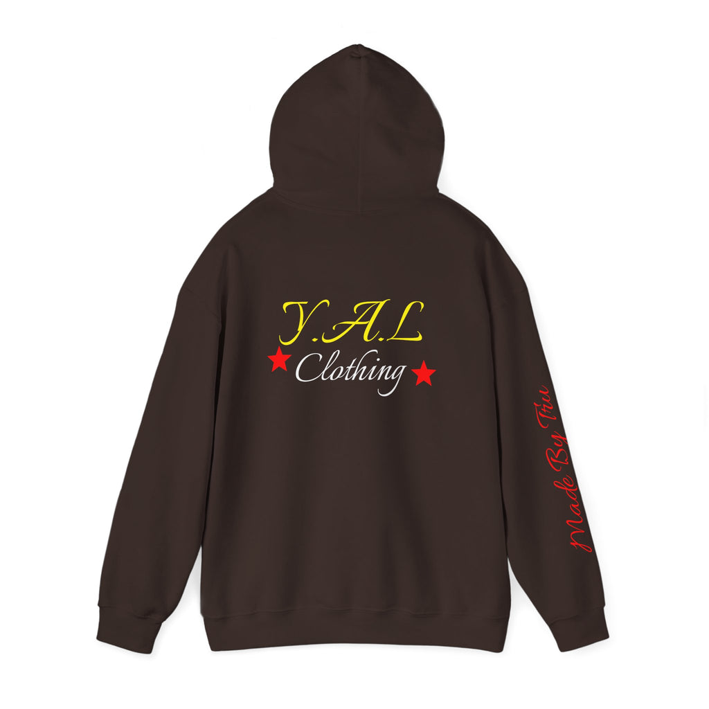 Music Lovers Ambitious Vibes Hoodie | Motivational Music Sweatshirt