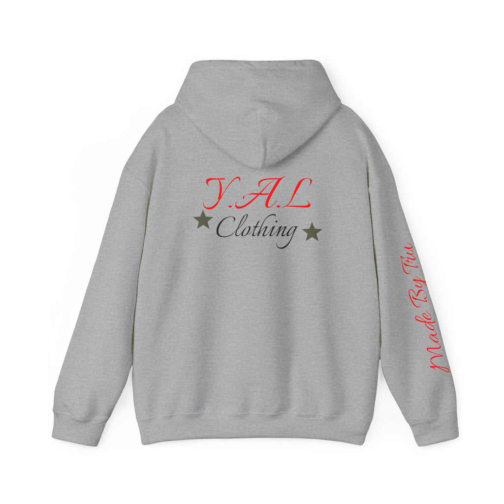 Music Lovers Ambitious Vibes Hoodie | Motivational Music Sweatshirt