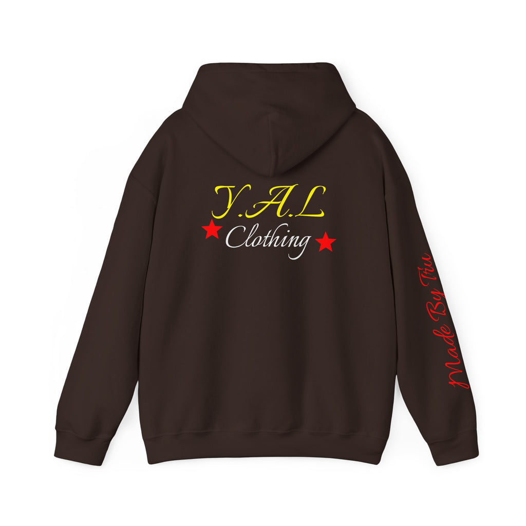Music Lovers Ambitious Vibes Hoodie | Motivational Music Sweatshirt