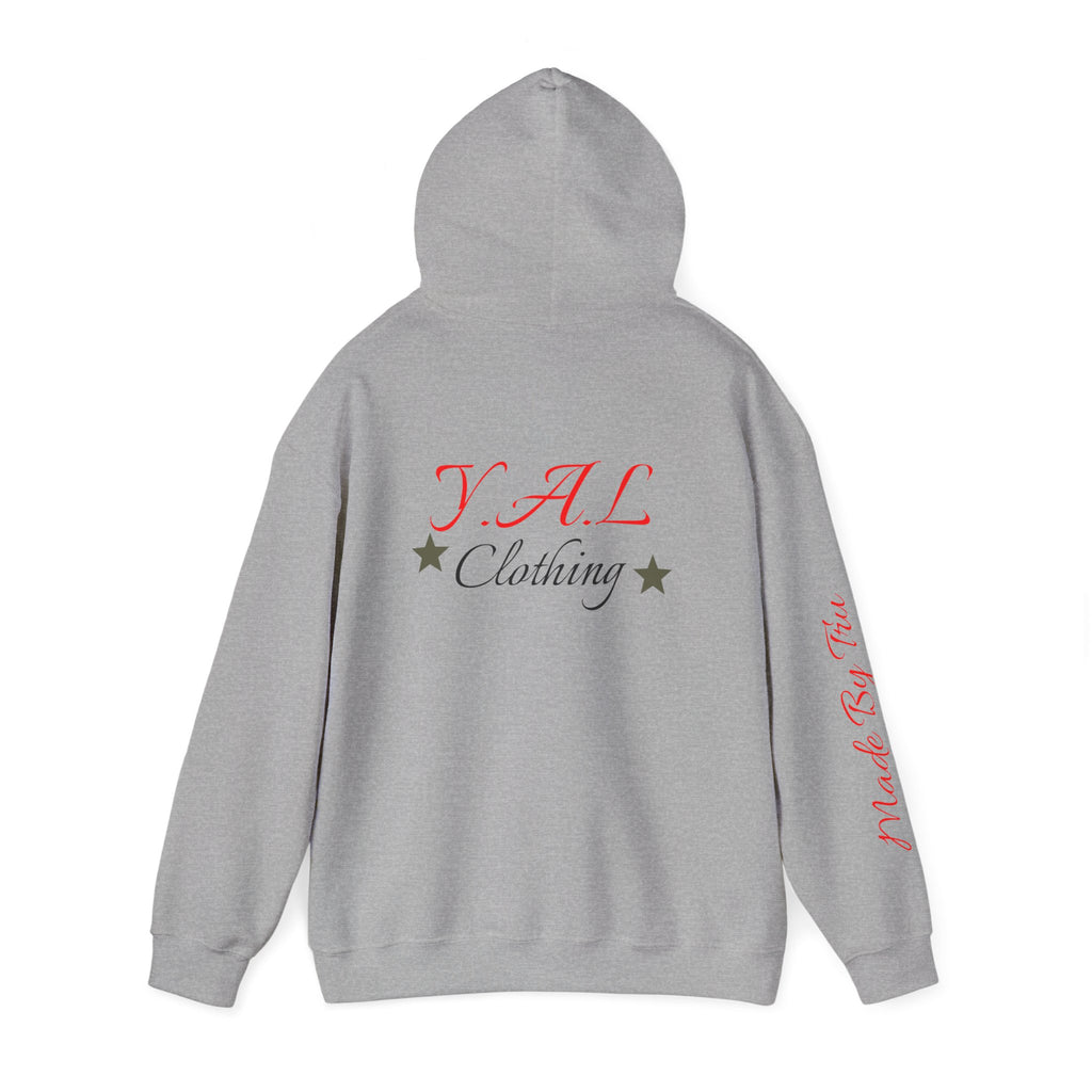 Music Lovers Ambitious Vibes Hoodie | Motivational Music Sweatshirt